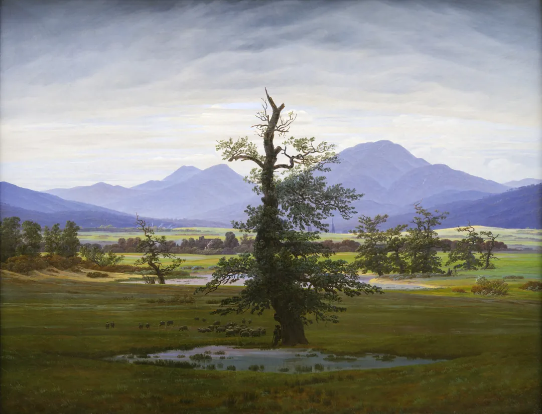 The Lonely Tree